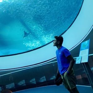 Meet your Posher, Benjamin